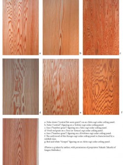 Everthing You Need to Know about Japanese Wood Species and Woodworking
