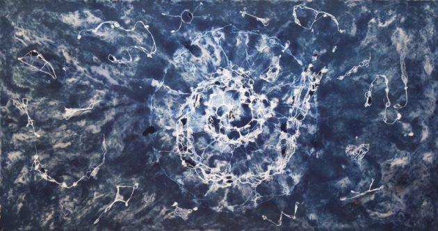 Sea to Stars by Sarah Brayer