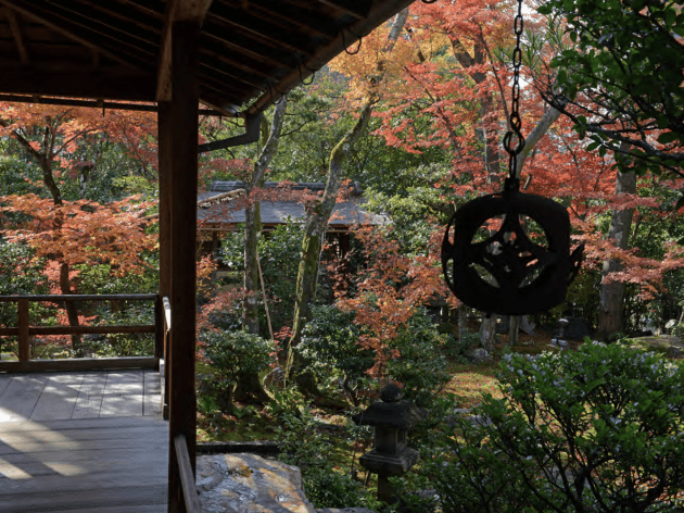 Daiho-in Temple garden Kyoto autumn Stephen Mansfield